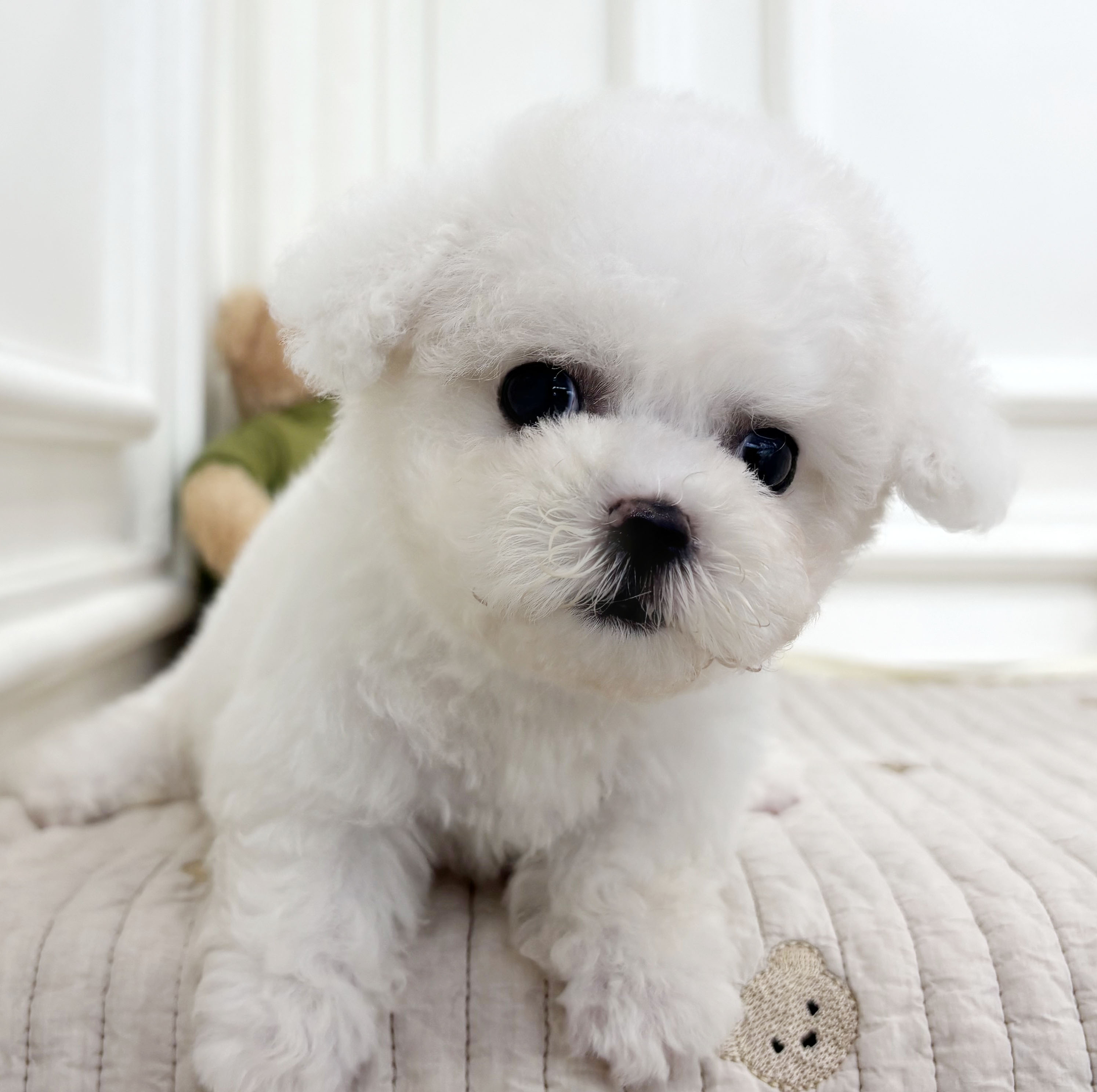 2797d8ca6245e396543c47b556e7f453_1756627630_5941.jpeg 2797d8ca6245e396543c47b556e7f453_1756627630_5941.jpeg