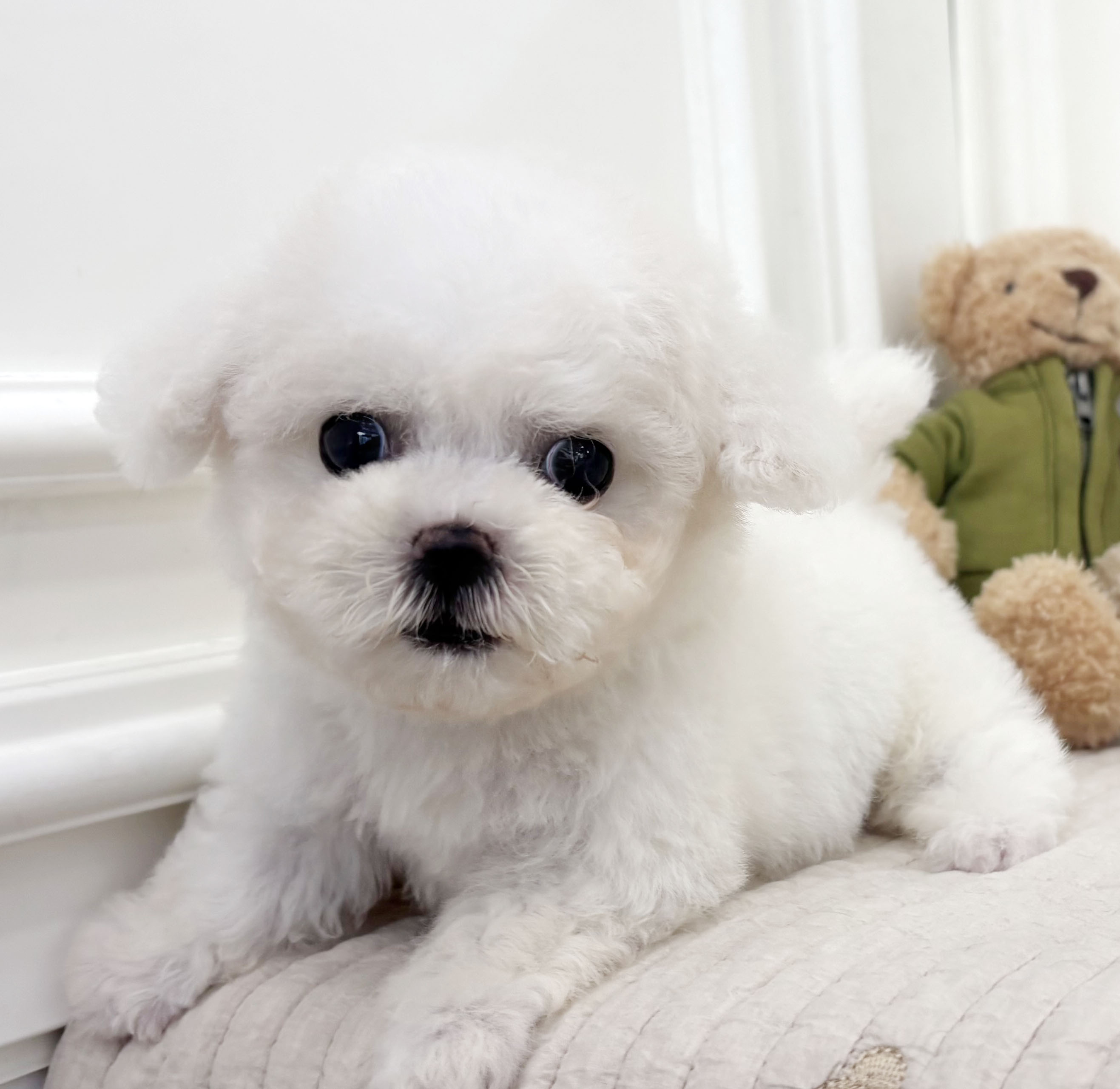 2797d8ca6245e396543c47b556e7f453_1756627631_3238.jpeg 2797d8ca6245e396543c47b556e7f453_1756627631_3238.jpeg