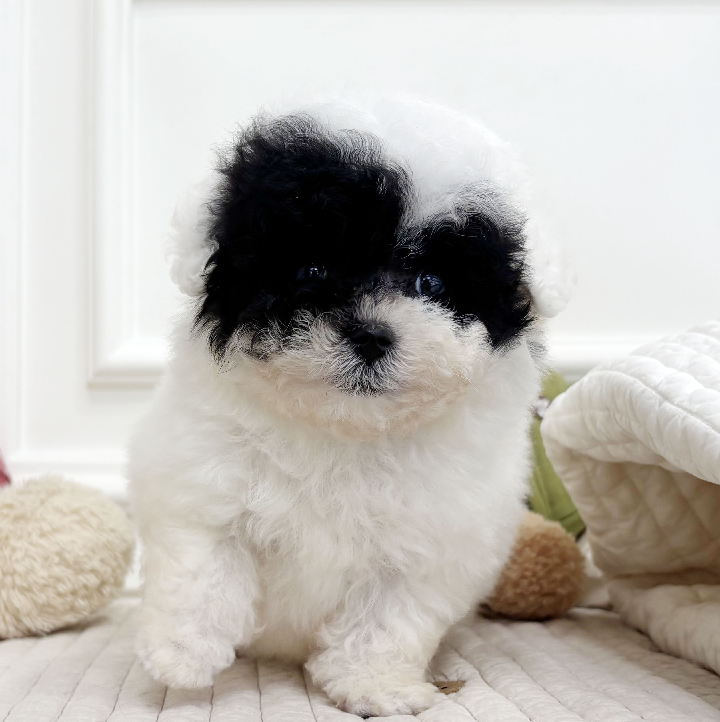 07f002e77d3839843a6a24b3fb91263f_1759481955_1584.jpeg 07f002e77d3839843a6a24b3fb91263f_1759481955_1584.jpeg