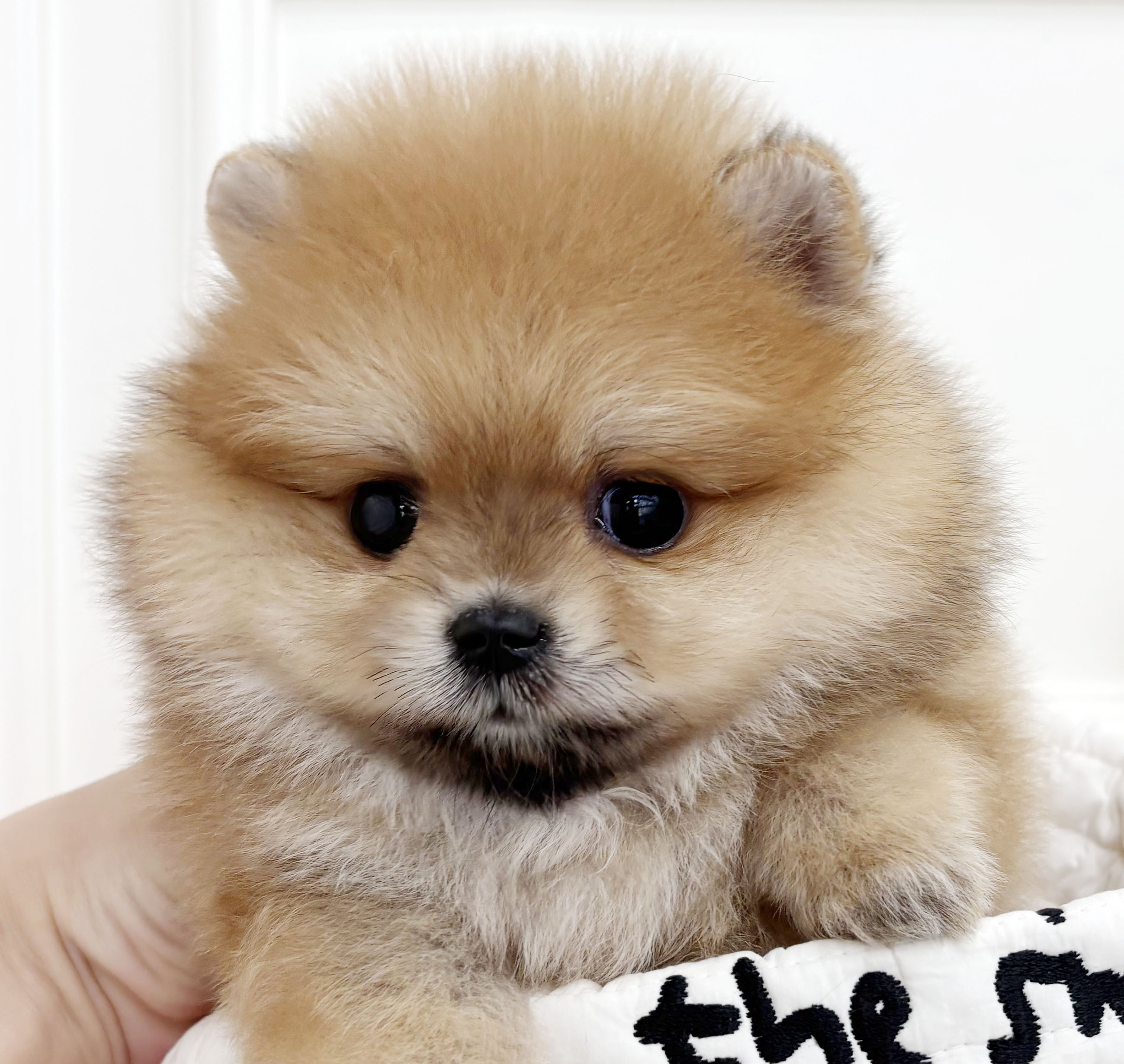 07f002e77d3839843a6a24b3fb91263f_1759483438_1995.jpeg 07f002e77d3839843a6a24b3fb91263f_1759483438_1995.jpeg