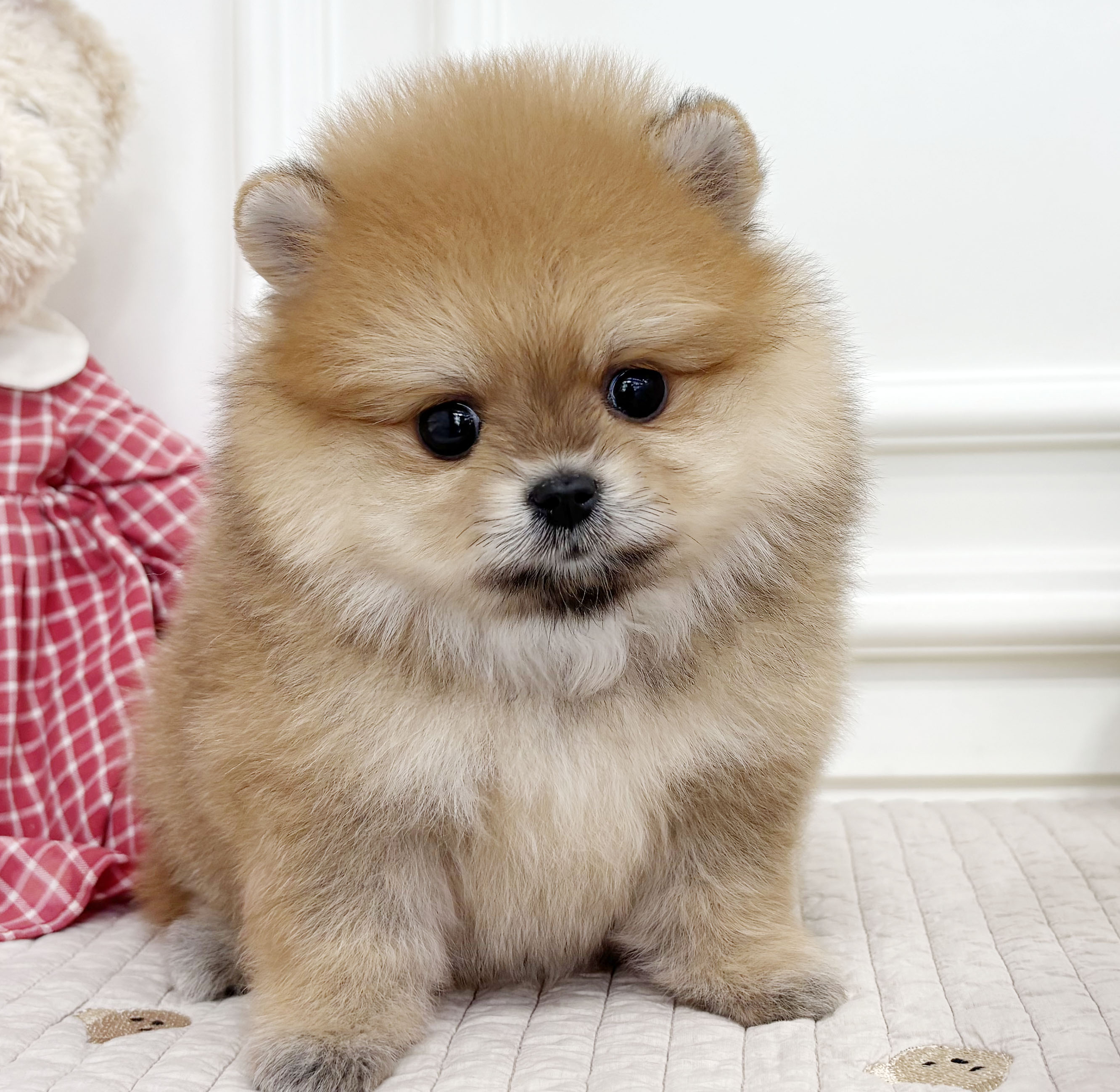 07f002e77d3839843a6a24b3fb91263f_1759483439_0015.jpeg 07f002e77d3839843a6a24b3fb91263f_1759483439_0015.jpeg