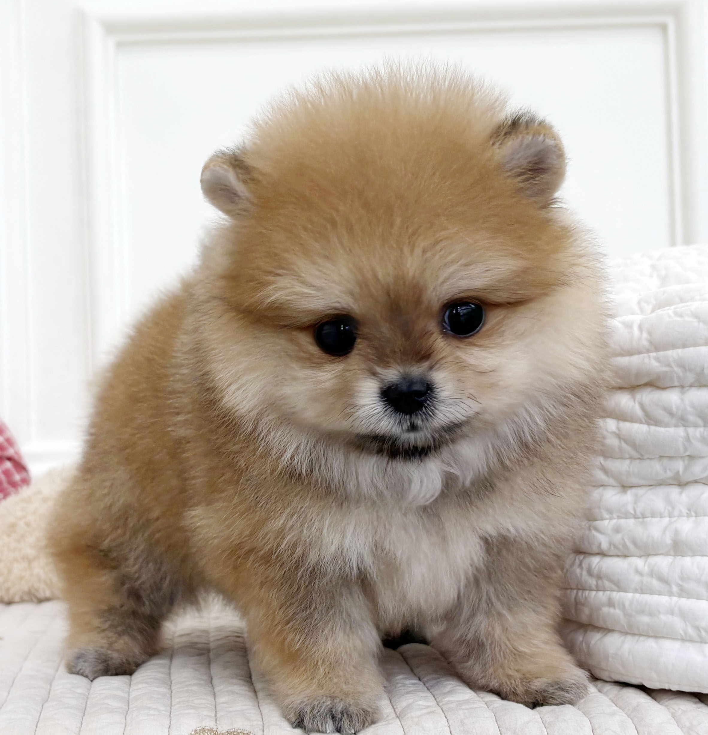 07f002e77d3839843a6a24b3fb91263f_1759483439_7237.jpeg 07f002e77d3839843a6a24b3fb91263f_1759483439_7237.jpeg