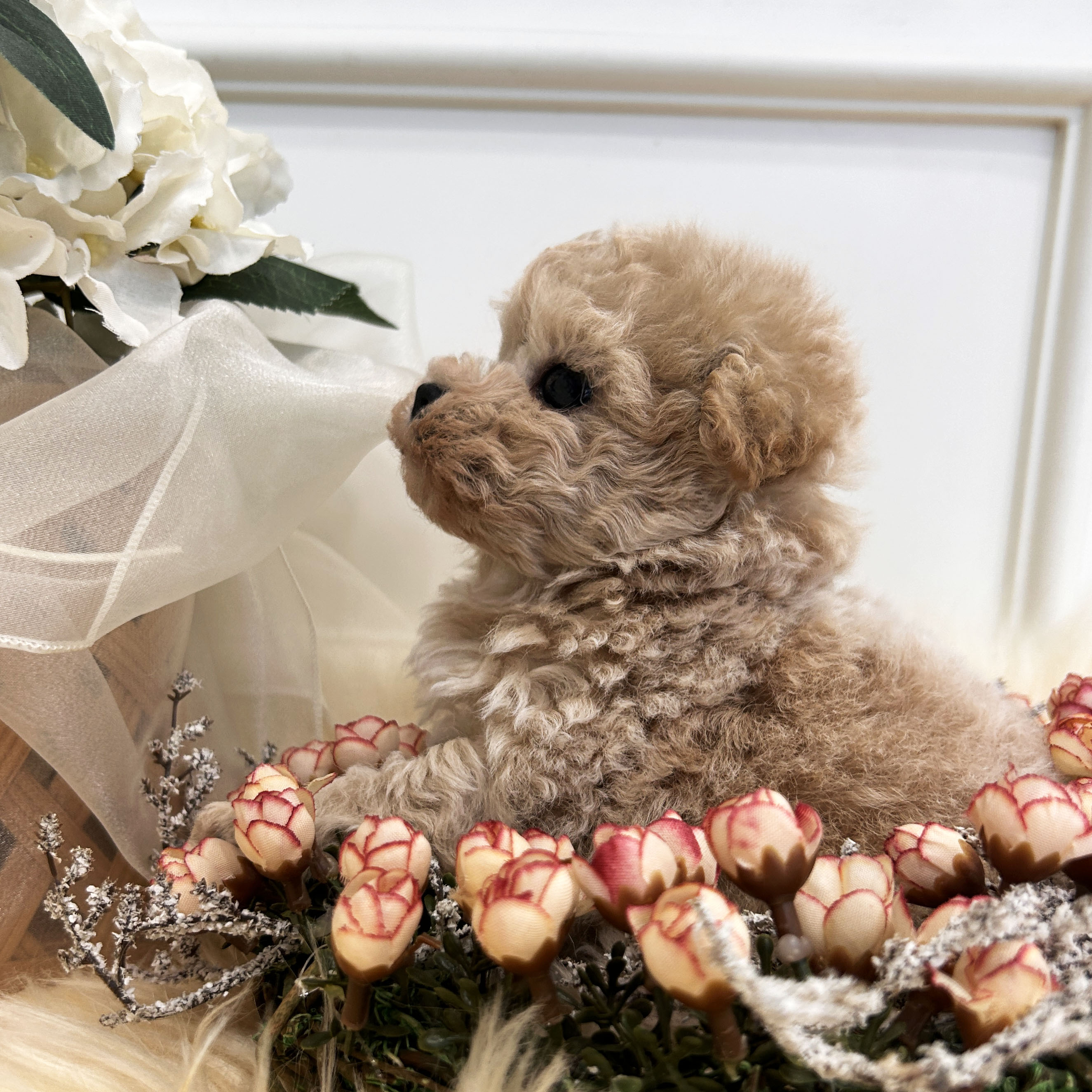 49a3e746f4fbbec1409356c0ab37b185_1766309394_3133.jpeg 49a3e746f4fbbec1409356c0ab37b185_1766309394_3133.jpeg