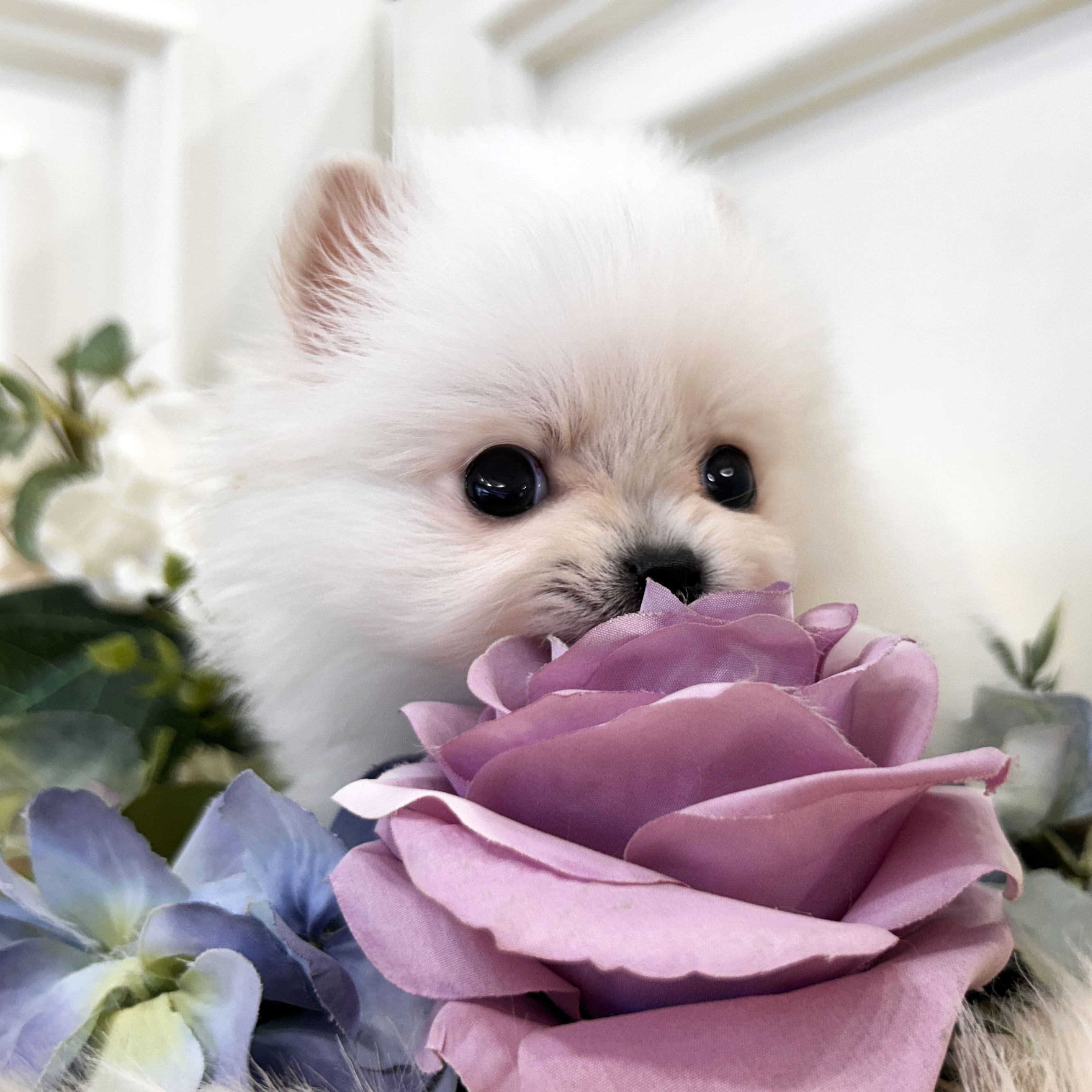 49a3e746f4fbbec1409356c0ab37b185_1766309604_4864.jpeg 49a3e746f4fbbec1409356c0ab37b185_1766309604_4864.jpeg