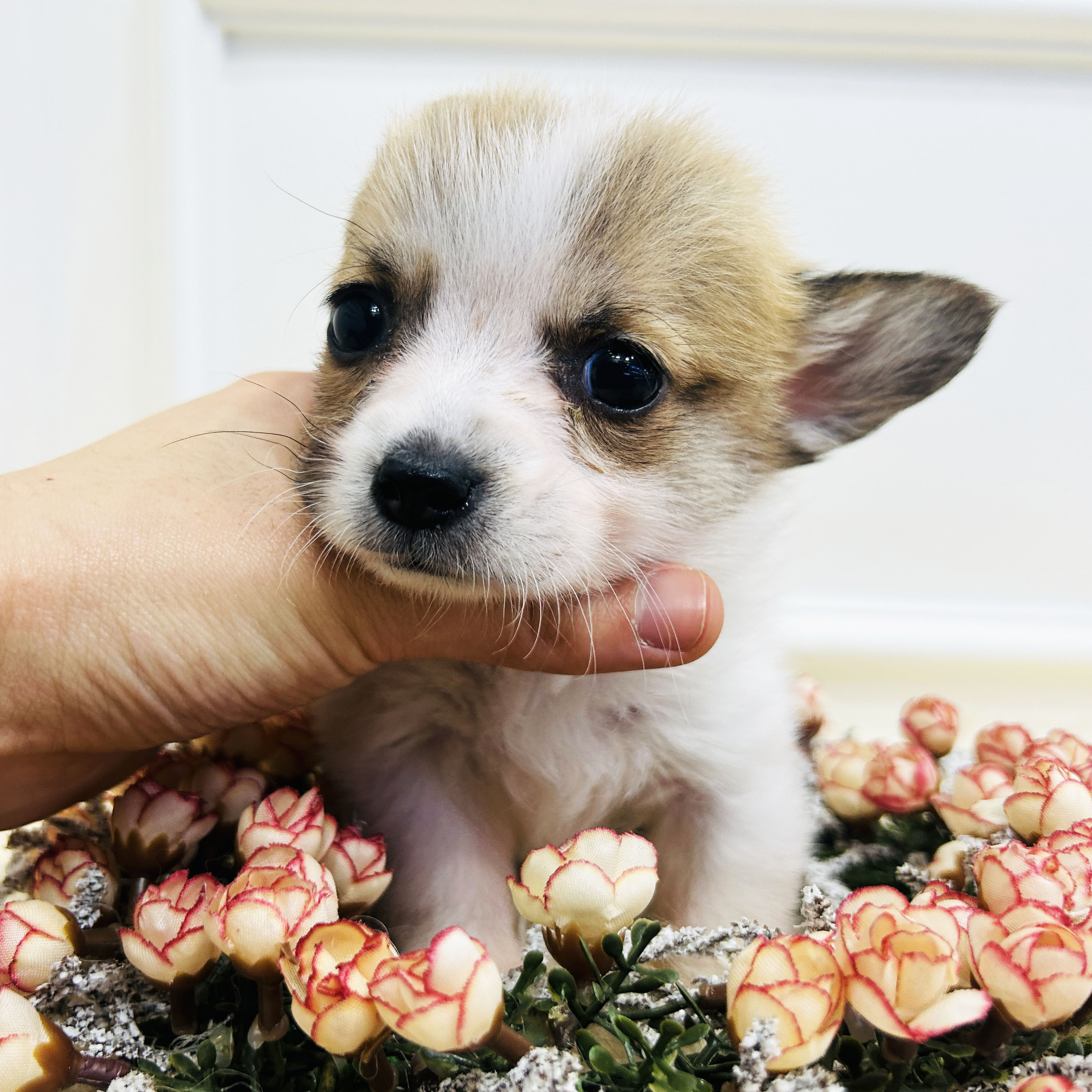 64e88745bfb50b202764b8baa74b31c7_1766133614_4799.jpeg 64e88745bfb50b202764b8baa74b31c7_1766133614_4799.jpeg