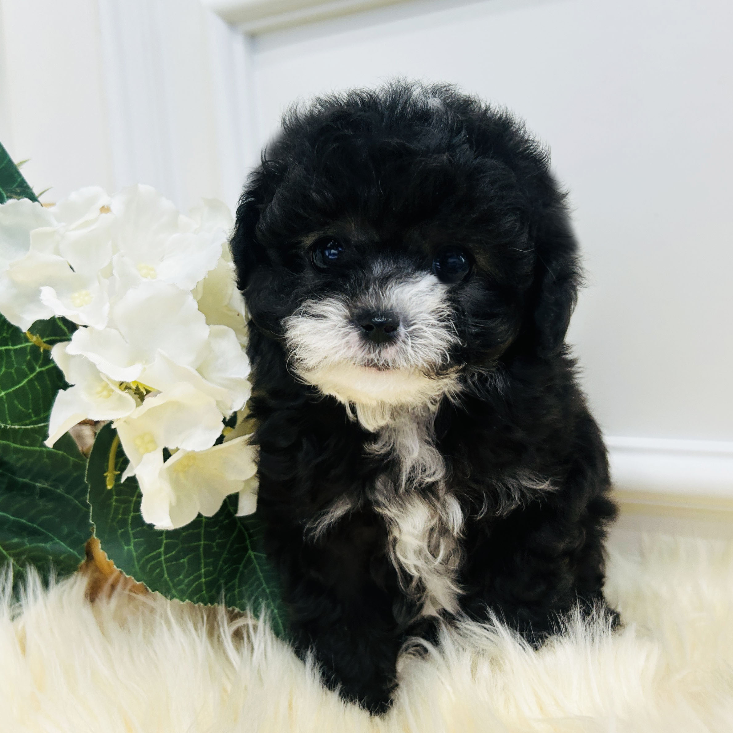 64e88745bfb50b202764b8baa74b31c7_1766134166_9713.jpeg 64e88745bfb50b202764b8baa74b31c7_1766134166_9713.jpeg