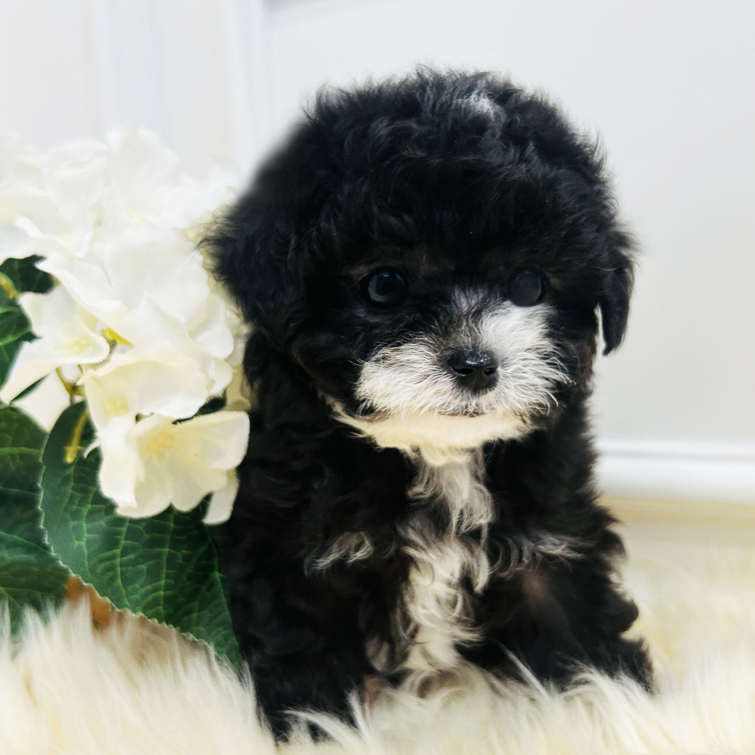 64e88745bfb50b202764b8baa74b31c7_1766134167_7917.jpeg 64e88745bfb50b202764b8baa74b31c7_1766134167_7917.jpeg