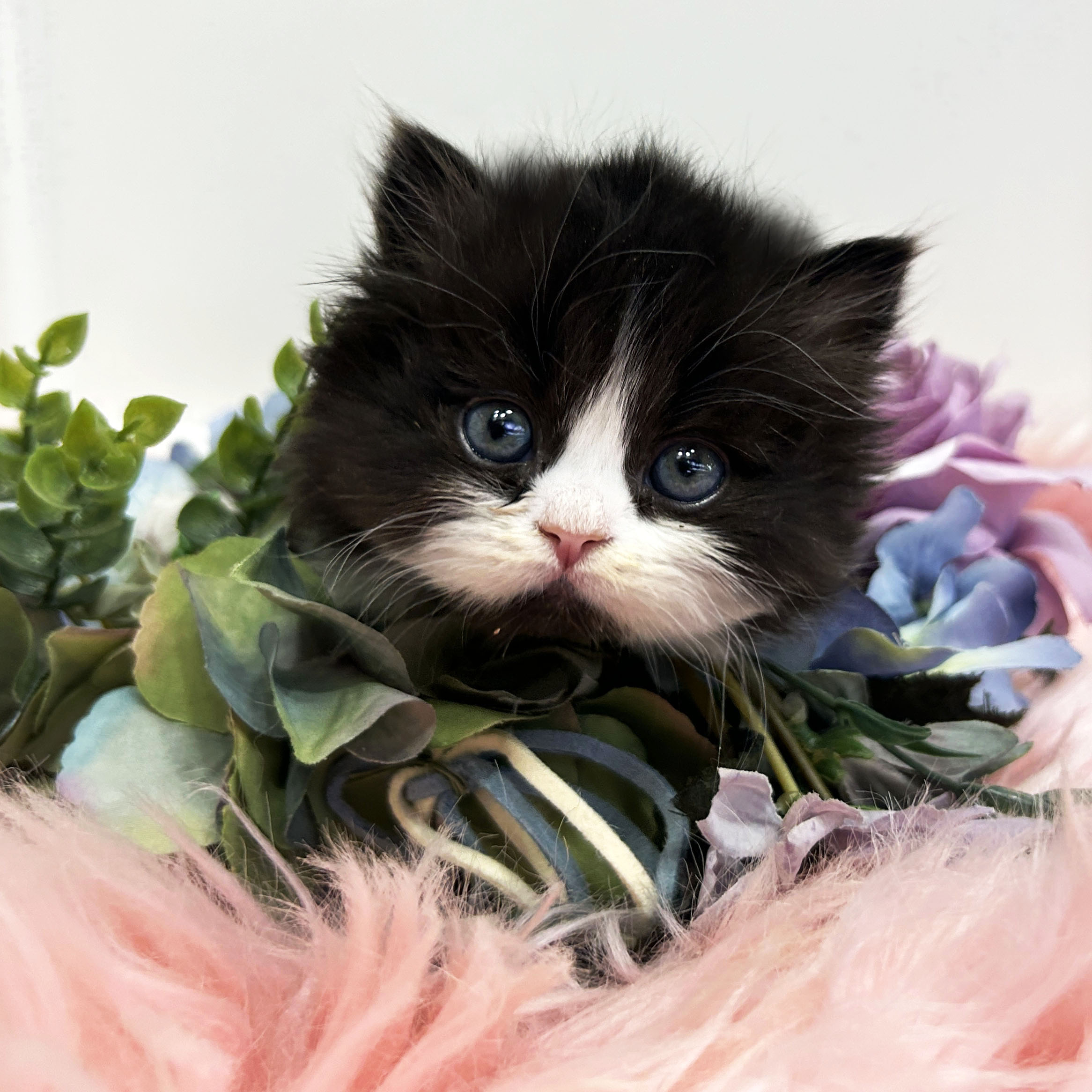 95383d9c6e3ff003ba627631546fcadb_1766029403_1594.jpeg 95383d9c6e3ff003ba627631546fcadb_1766029403_1594.jpeg