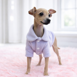 이탈리안그레이하운드/여아